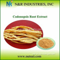 High Quality Herbal Extract Codonopsis Extract from Radix Codonopsis Pilosulae Root